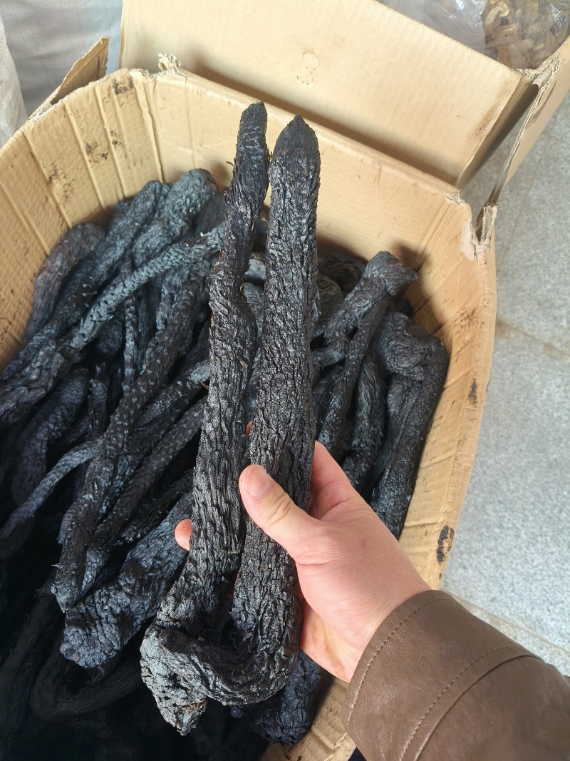 只卖软质油苁蓉软质【精选推荐】拒绝加水肉苁蓉不满意退