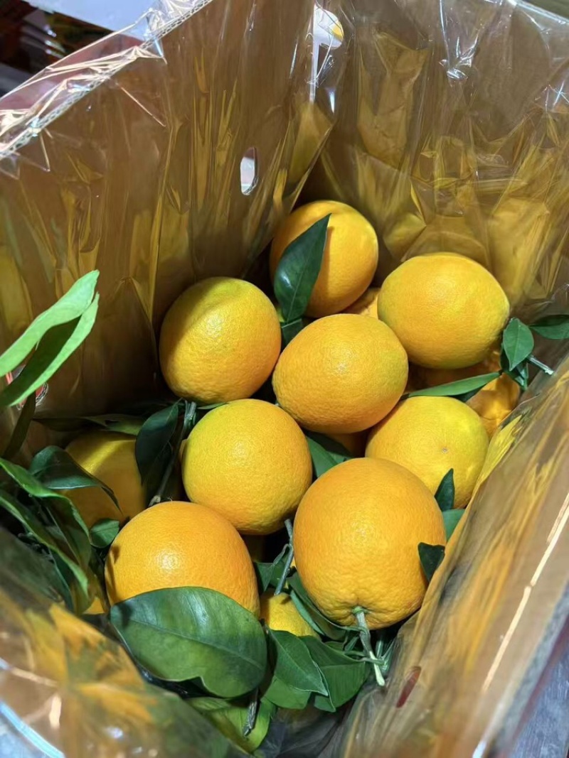 赣南脐橙新鲜现发甜度高品质优可视频看货欢迎咨询来电