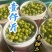 青甜从地头到餐桌，带您一抹绿色，让您吃甜一样拥有健康体魄