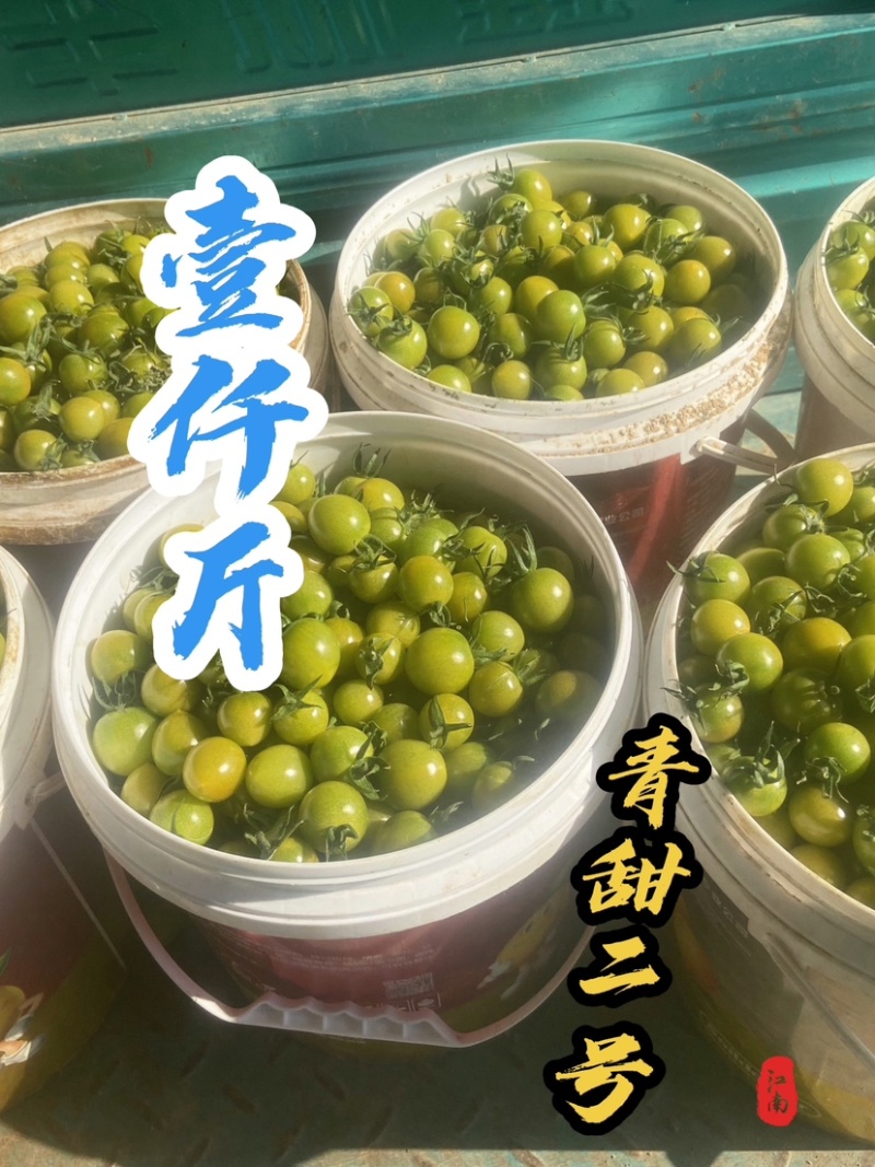 青甜从地头到餐桌，带您一抹绿色，让您吃甜一样拥有健康体魄