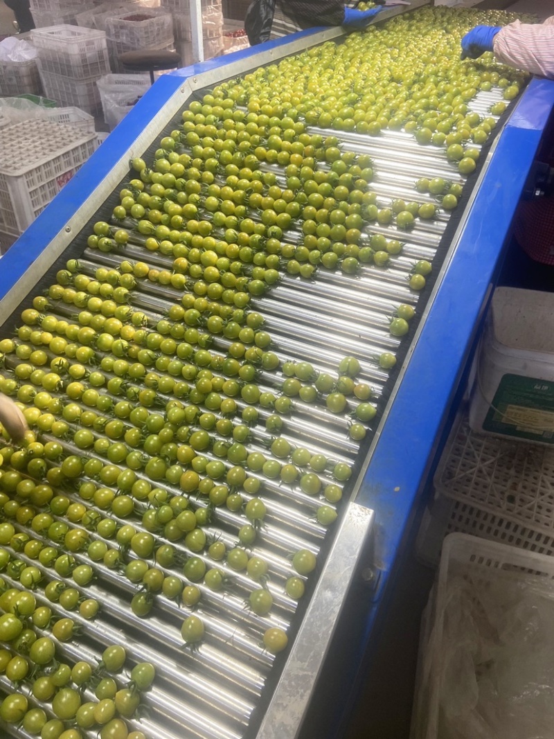 青甜从地头到餐桌，带您一抹绿色，让您吃甜一样拥有健康体魄