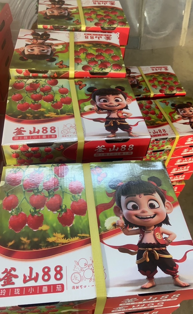 平度市崔家集杨龙庄高端圣女果，对接识货的你