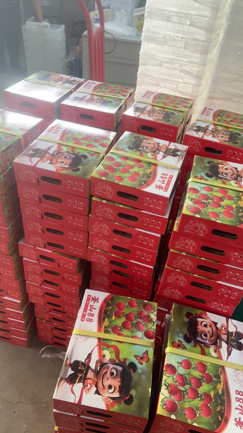 平度市崔家集杨龙庄高端圣女果，对接识货的你