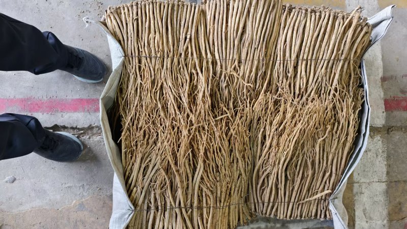 甘肃陇西地道药材党参，农户自家种植，无硫熏蒸，自然晾晒阴