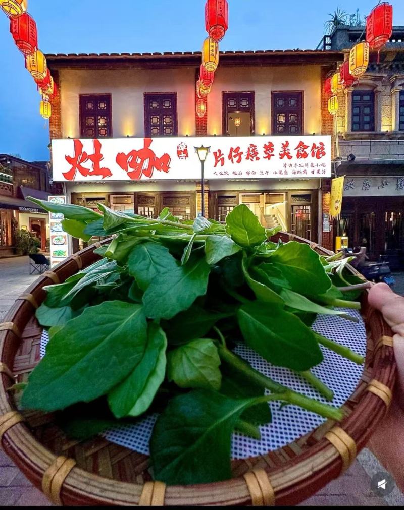 片仔癀草