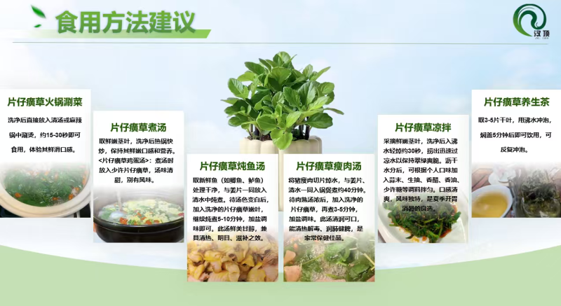 片仔癀草