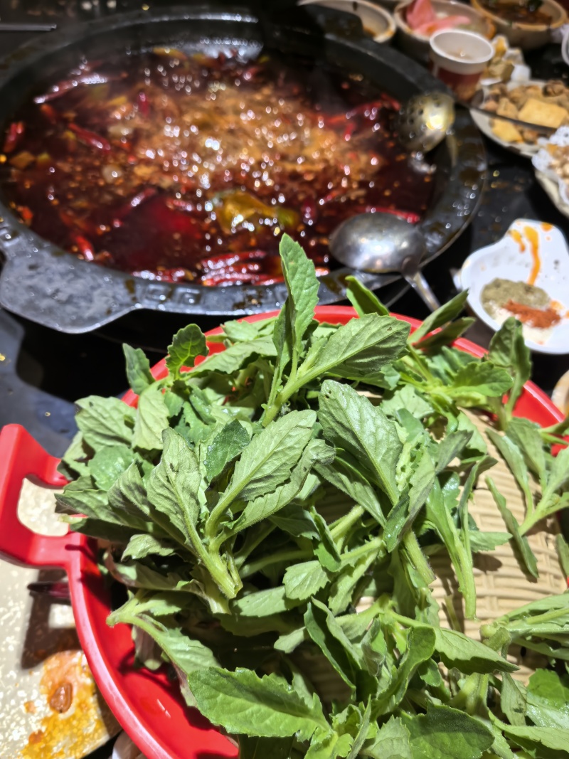 片仔癀草