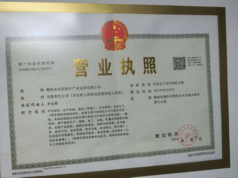 湖南衡阳本地红薯粉条/厂家直发/源头工厂发货