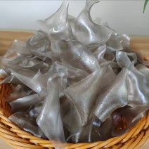 湖南衡阳红薯粉皮/源头工厂发货/量大价优