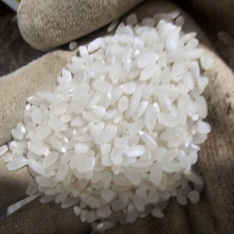这里是河北唐山丰南安全的蟹田大米来啦