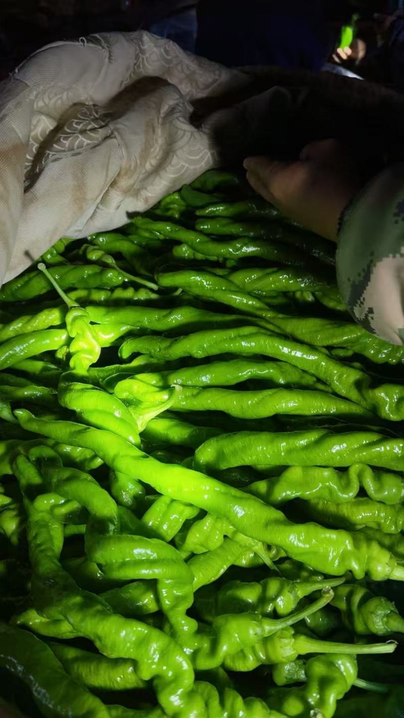 螺丝椒，通货，4元