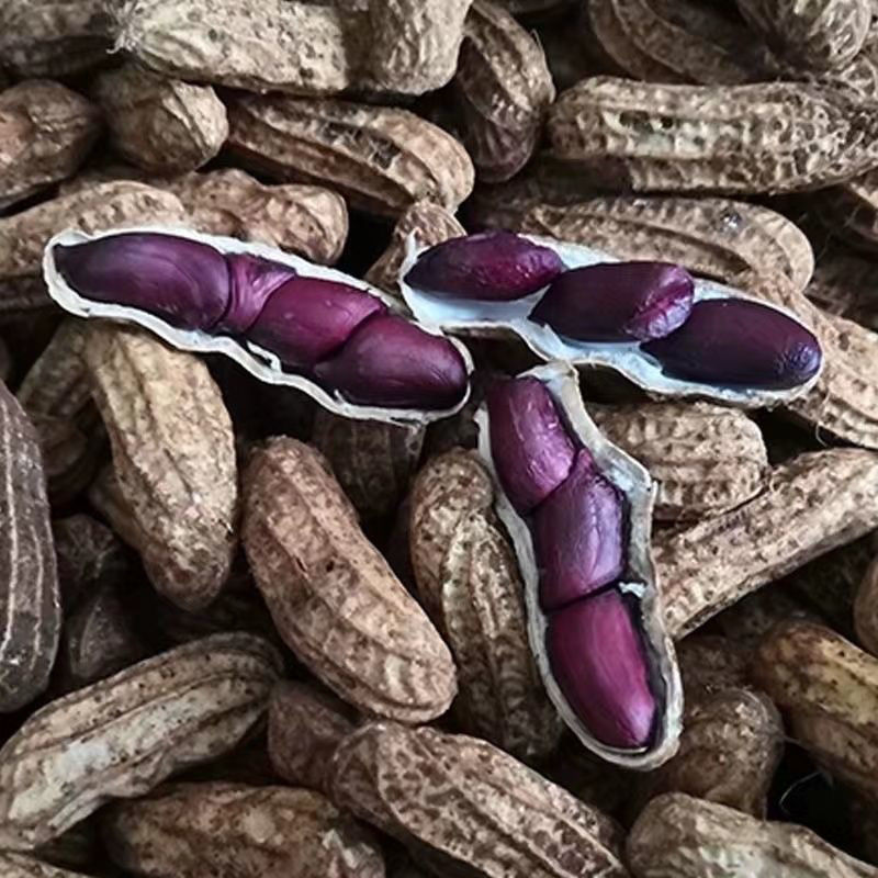黑金刚，需要的联系