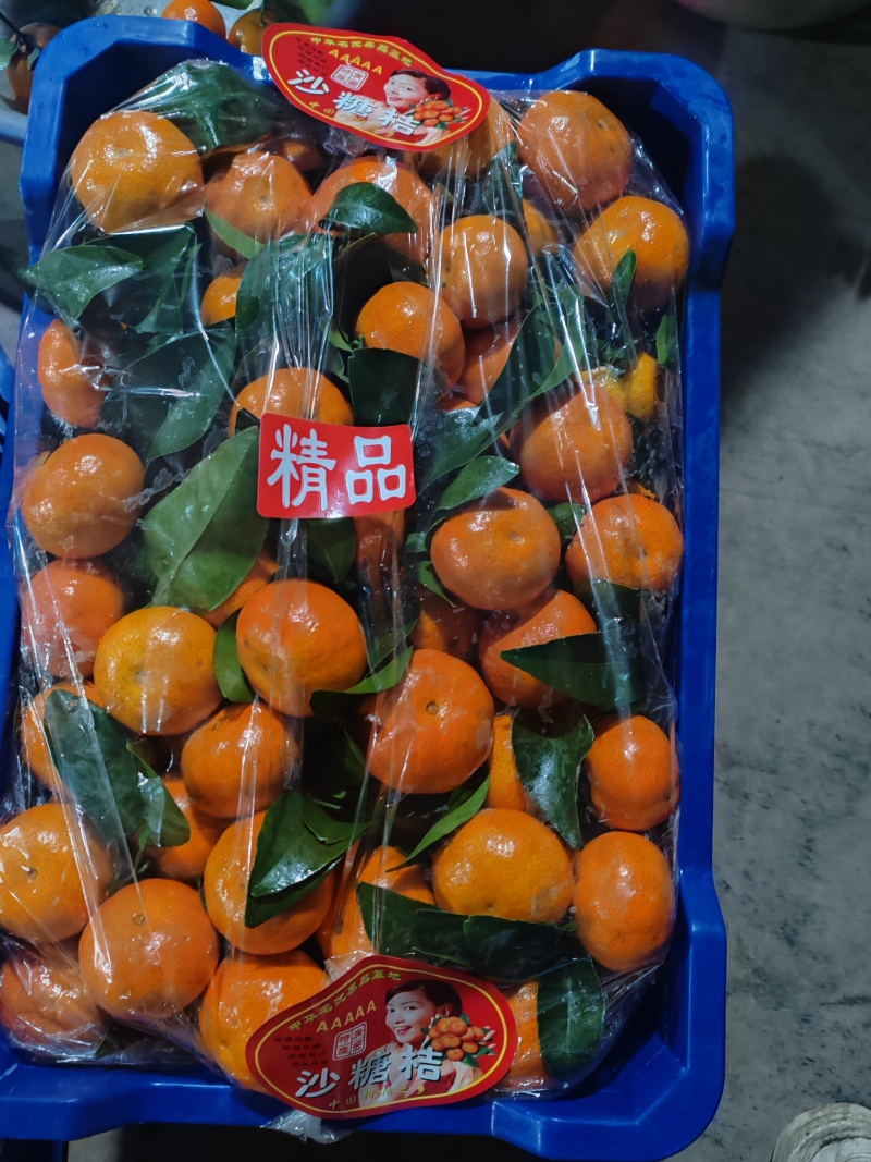 广西沙糖桔糖度高皮薄化渣产地代收代发