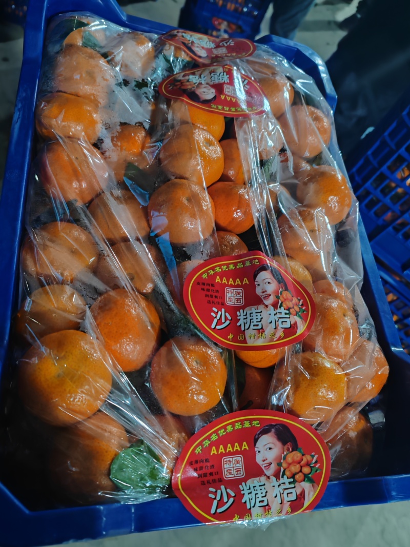 广西沙糖桔糖度高皮薄化渣产地代收代发