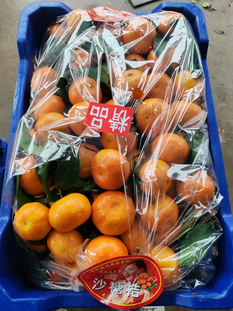 广西沙糖桔糖度高皮薄化渣产地代收代发