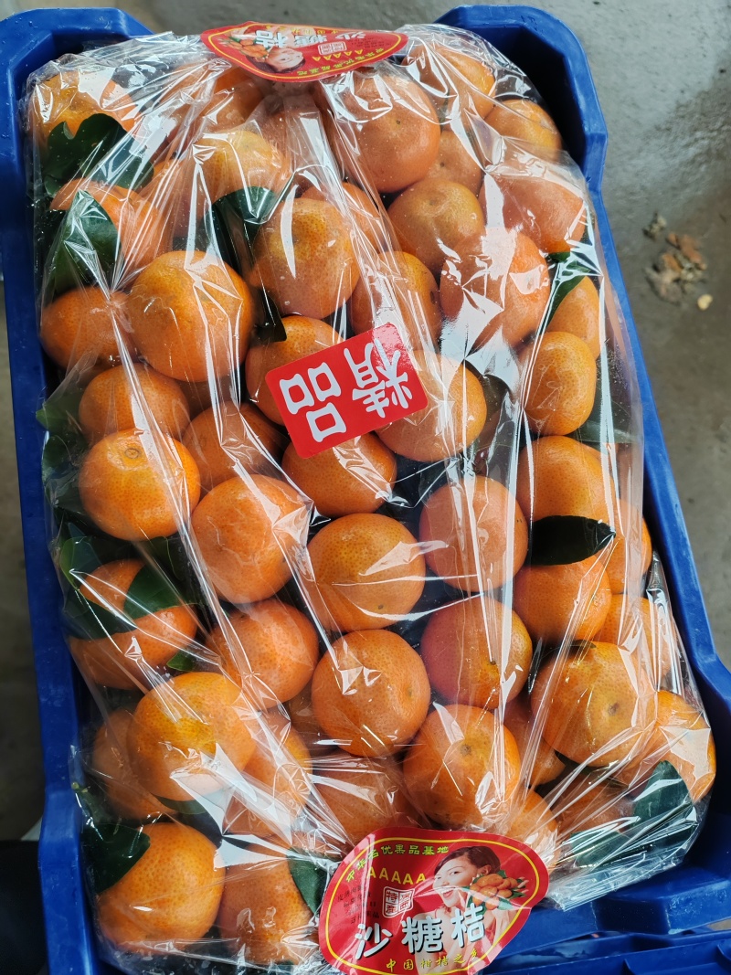 广西沙糖桔糖度高皮薄化渣产地代收代发