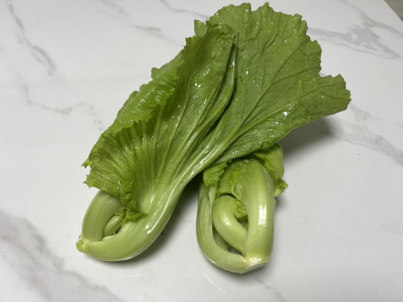 精品电白水东芥菜电白原产地芥菜
