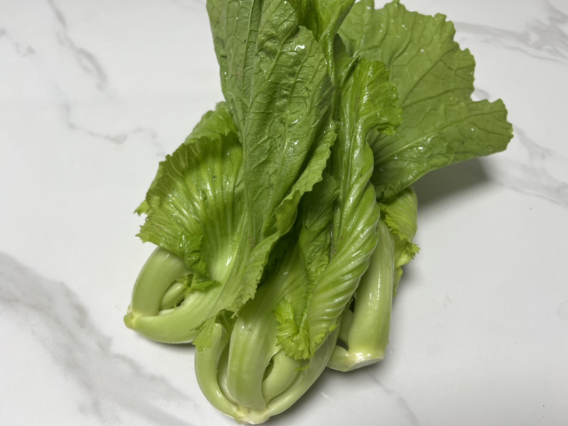 精品电白水东芥菜电白原产地芥菜