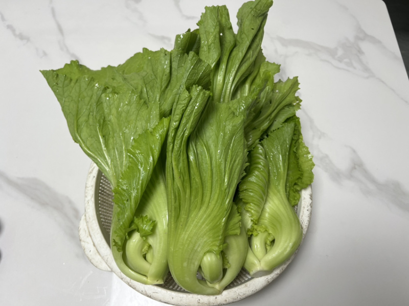 精品电白水东芥菜电白原产地芥菜