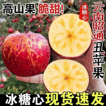 《一件代发》高山昭通大凉山丑苹果。冰糖心苹果。对接各大平