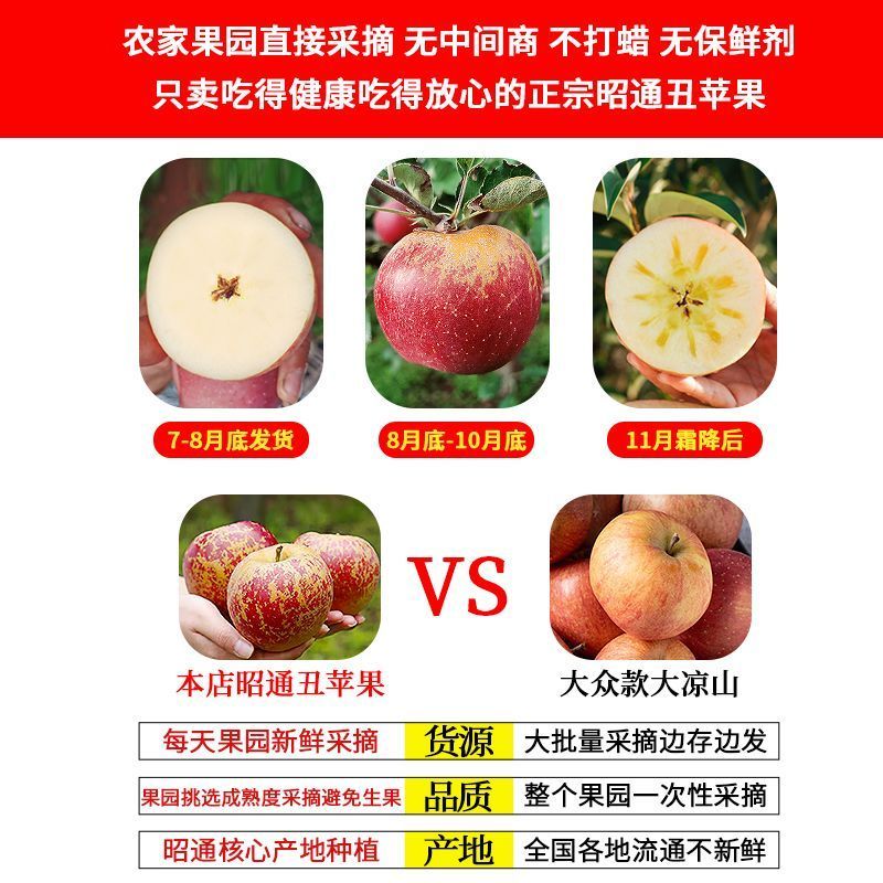 《一件代发》高山昭通大凉山丑苹果。冰糖心苹果。对接各大平