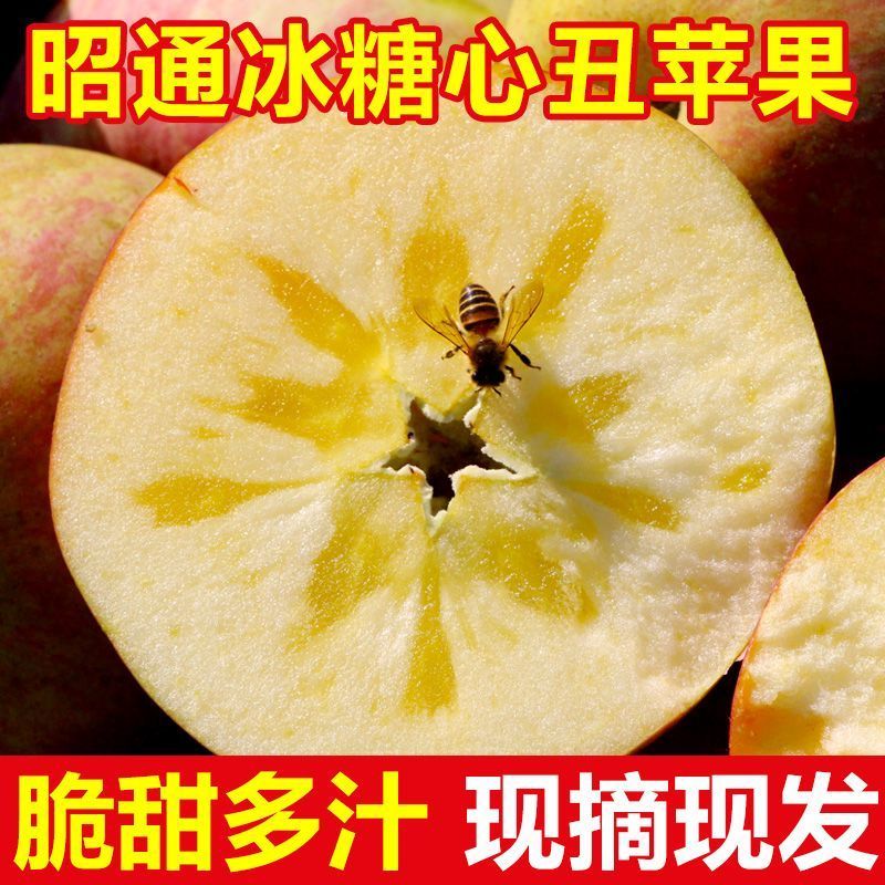 《一件代发》高山昭通大凉山丑苹果。冰糖心苹果。对接各大平