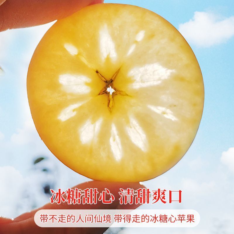 《一件代发》高山昭通大凉山丑苹果。冰糖心苹果。对接各大平