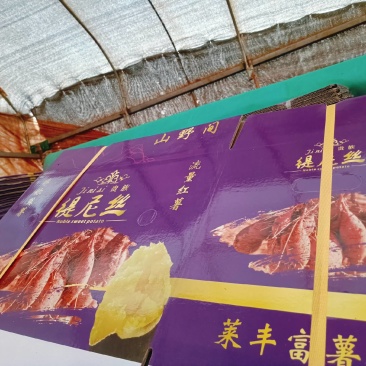 缇尼丝