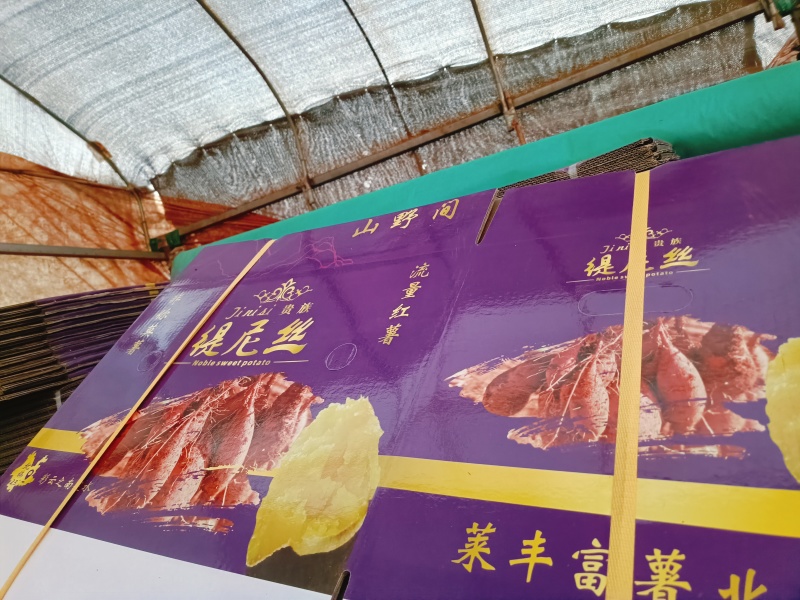 缇尼丝
