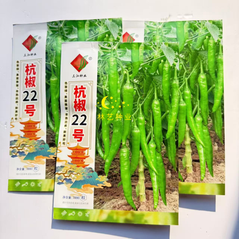 三江杭椒22号辣椒种子中熟杂交高产抗病辣味中等翠绿尖椒春