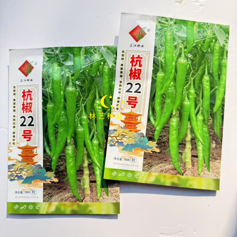 三江杭椒22号辣椒种子中熟杂交高产抗病辣味中等翠绿尖椒春