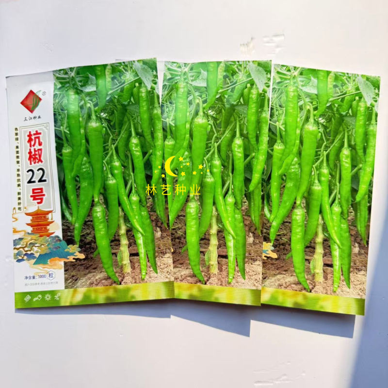 三江杭椒22号辣椒种子中熟杂交高产抗病辣味中等翠绿尖椒春