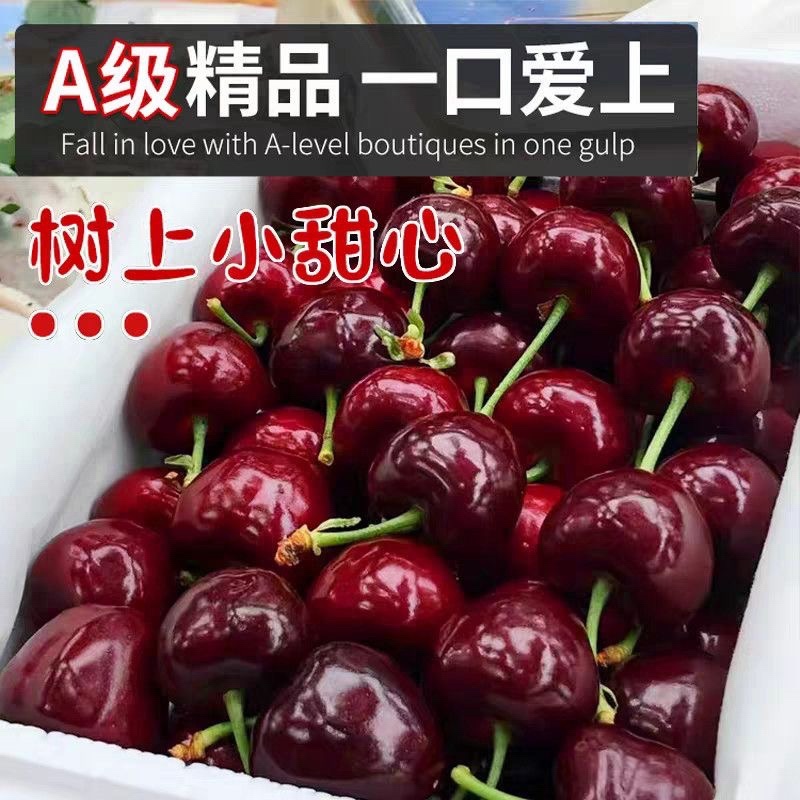 智利车里子一件代发