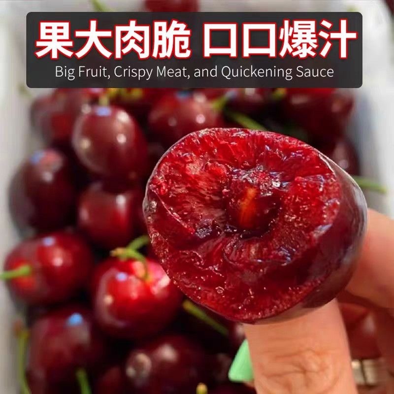智利车里子一件代发
