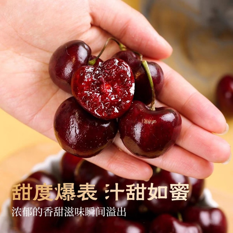 智利车里子一件代发