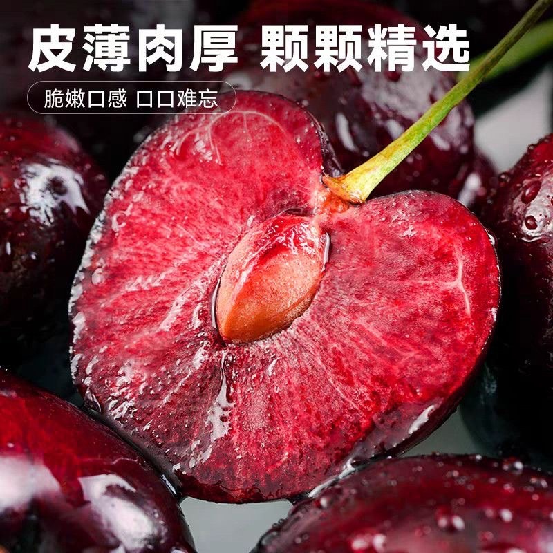 智利车里子一件代发