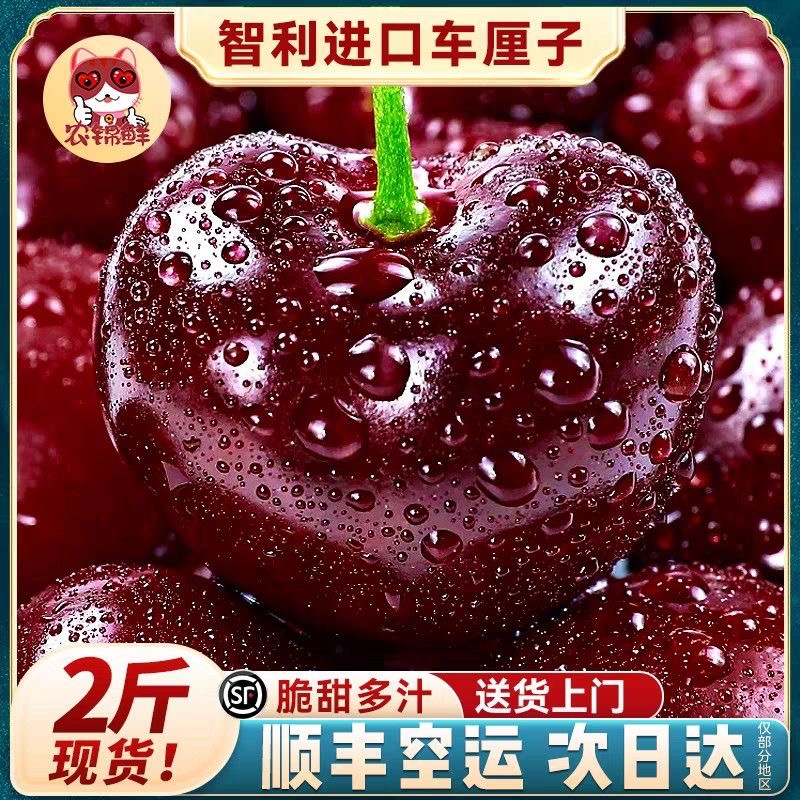 智利车里子一件代发