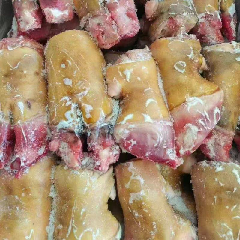 锡盟草地火烧笨牛蹄，火烧牛蹄掌，常年有货，量大优