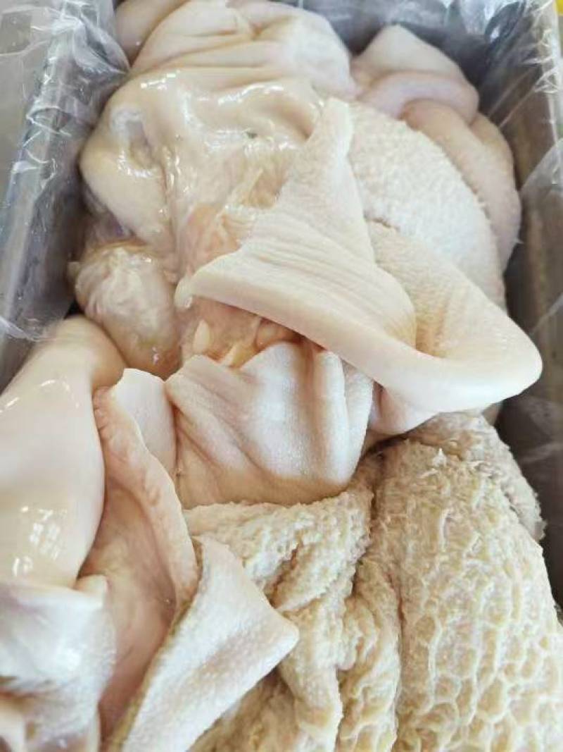内蒙纯草地黄牛肚，品质好，出成率高，带金钱肚！