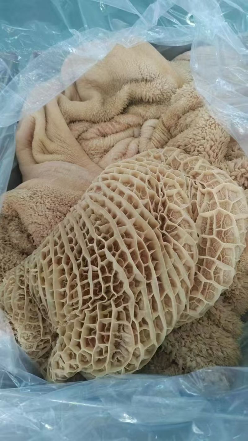 内蒙纯草地黄牛肚，品质好，出成率高，带金钱肚！