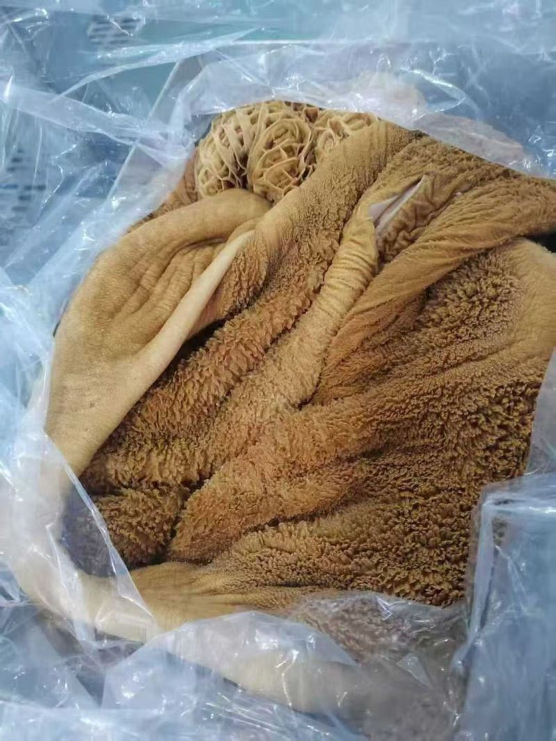 内蒙纯草地黄牛肚，品质好，出成率高，带金钱肚！