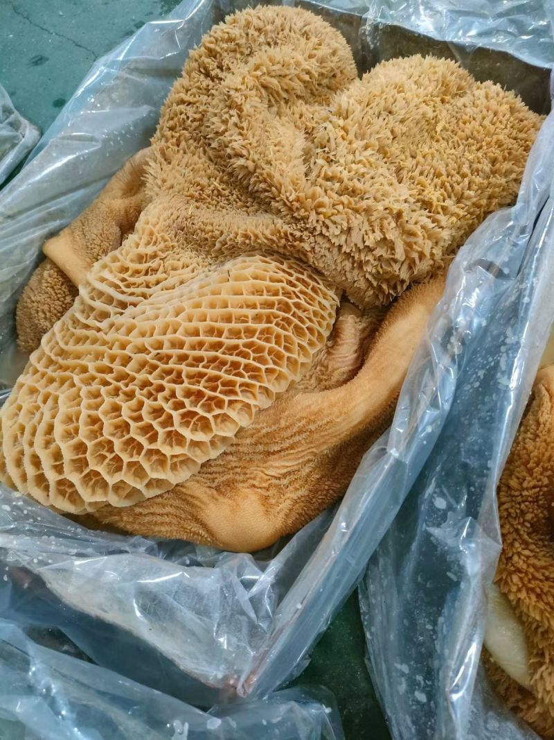 内蒙纯草地黄牛肚，品质好，出成率高，带金钱肚！