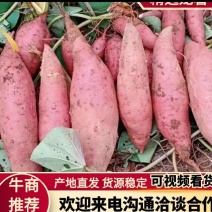 龙九西瓜红专业市场、电商（一件代发）一手货源洽谈合作