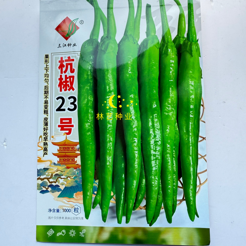 杭椒23号杭椒种子早熟高产杭椒种子杂交杭椒种子果形均匀