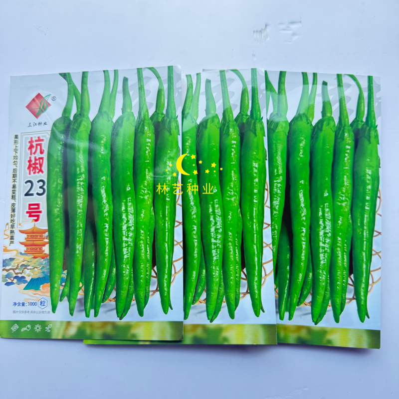 杭椒23号杭椒种子早熟高产杭椒种子杂交杭椒种子果形均匀