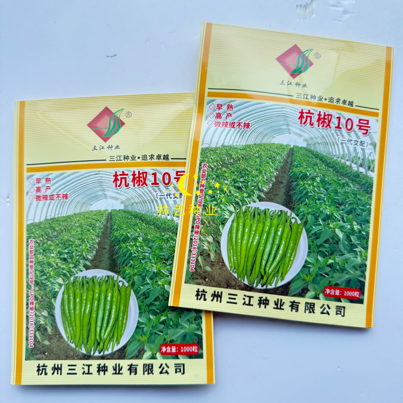 杭椒10号辣椒种子微辣早熟杭椒尖椒不辣顺直品质好蔬菜