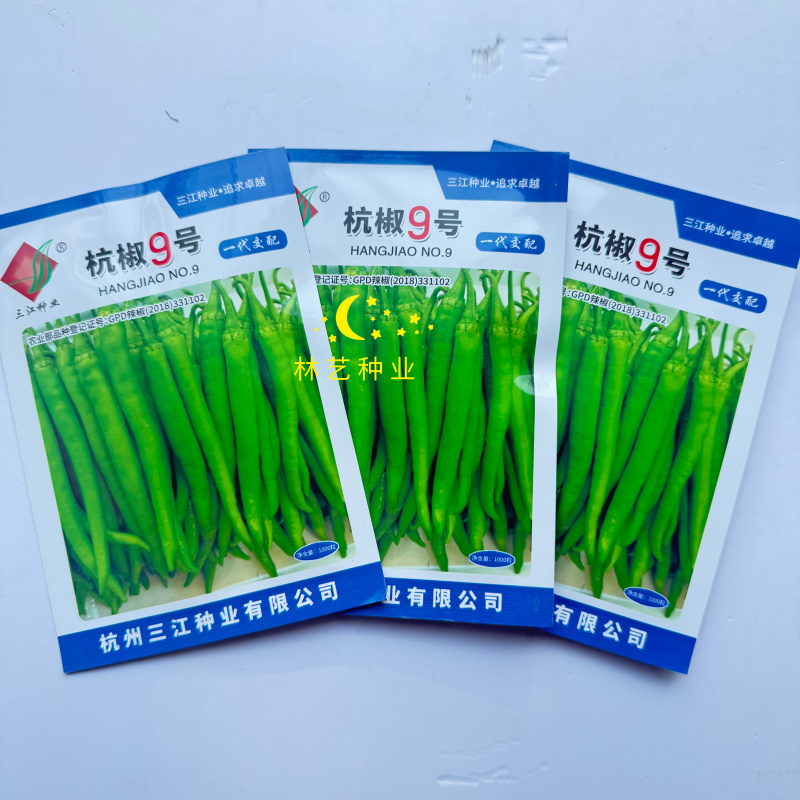 杭椒9号辣椒种子杭椒种子早熟后期不变形商品性好