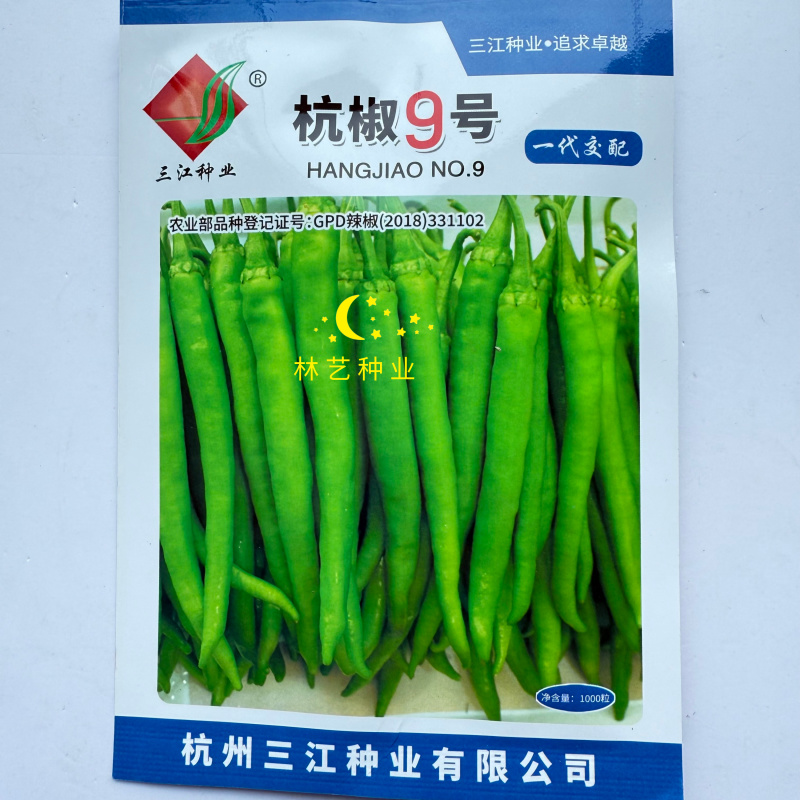 杭椒9号辣椒种子杭椒种子早熟后期不变形商品性好