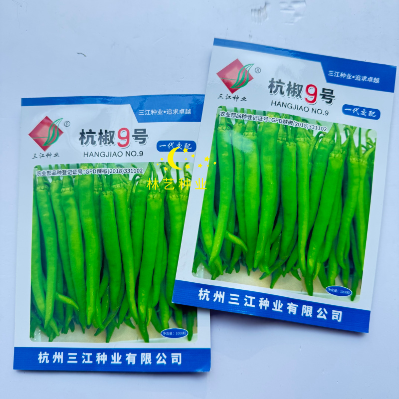 杭椒9号辣椒种子杭椒种子早熟后期不变形商品性好