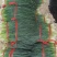 湛江无染色小葱专业做货质量保证大量供应